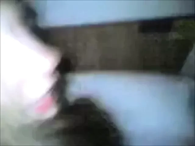 Geordie mix 1