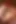 Dead or Alive Sisters by 26regionsfm (animation with Sound) 3D Hentai Porn Sfm