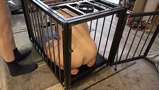 Evet Usta, ben seninim