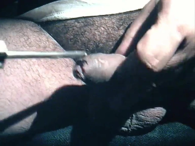 Cock sounding with a screwdriver