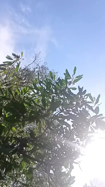Being free
