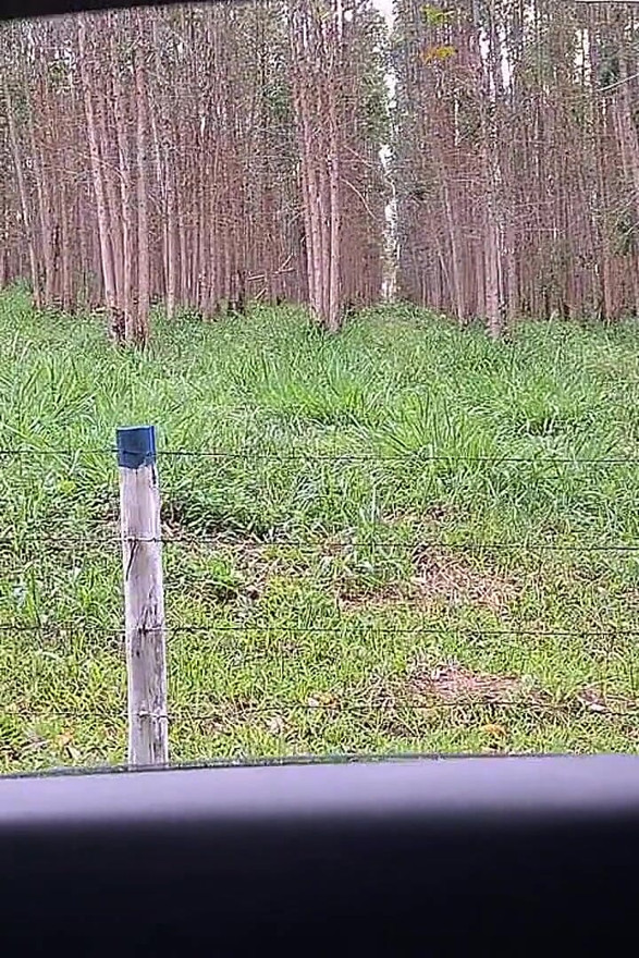 Flash Cock to a Girl in the Car!