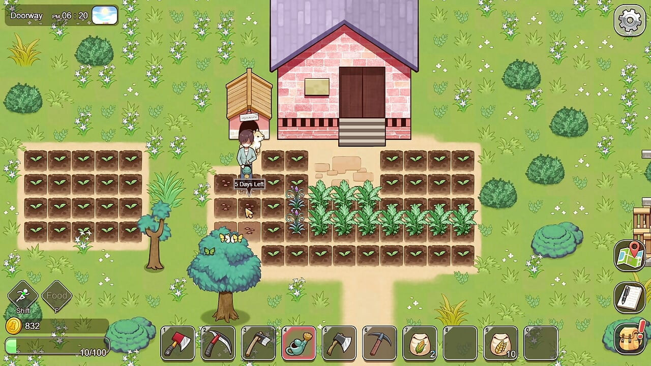 Village Rhapsody - the Domain of Doggy Style