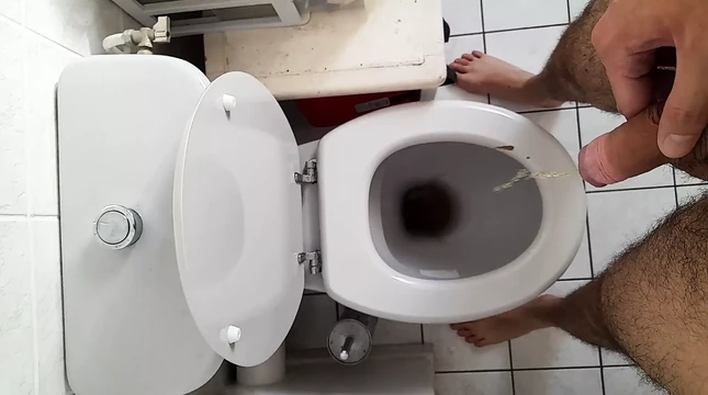Pee toilet with big dick good