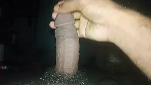 Mast Mota arazisi