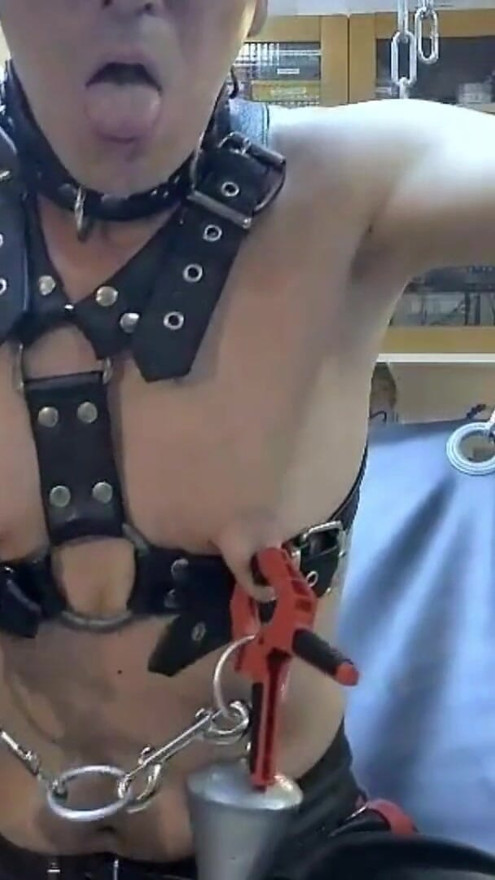 PISS FAG PIG SLUT WHORE IN SLING | Clip 1