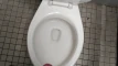 Video-Vorschau