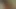 Cat Ears Furry GF Pussy Insertion