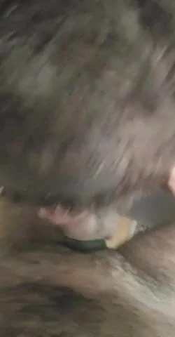 Facefucking my asian twink faggot