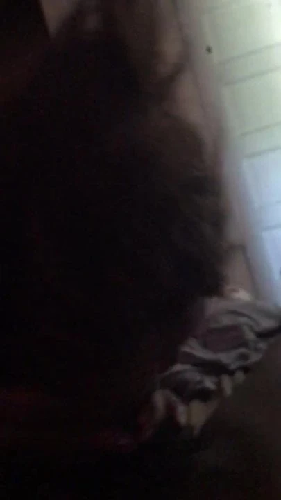 Catch his cum