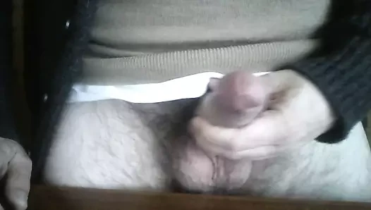 Polla
