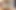 Bts - Leda Elizabeth tombul, seksi figürüyle merceği büyüleiyor!