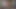 The Dazzling Blowjob From a MILF