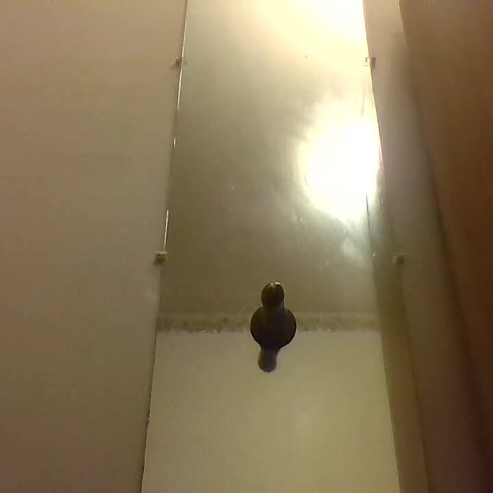 Mirrror Buttplug Play It's Been a Long Fucking While Since I've Had Anything in My Fucking Ass
