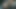 Rigid3d D3d Intense Anal Sex Delicious Tasty Big Ass Swallowing Cum Open Ass Dripping Cum