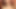 Cum tribute
