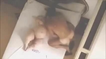 midget bizarre fuck
