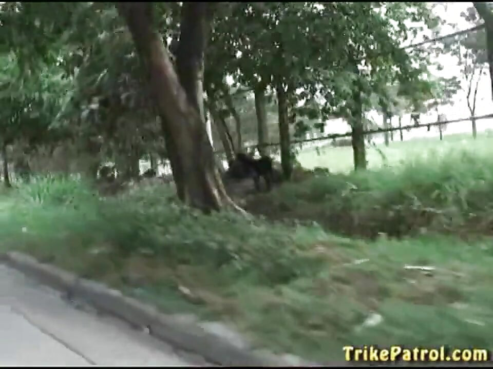 פינאי עם ציצים קטנים מזדיינת מחוץ לעיר