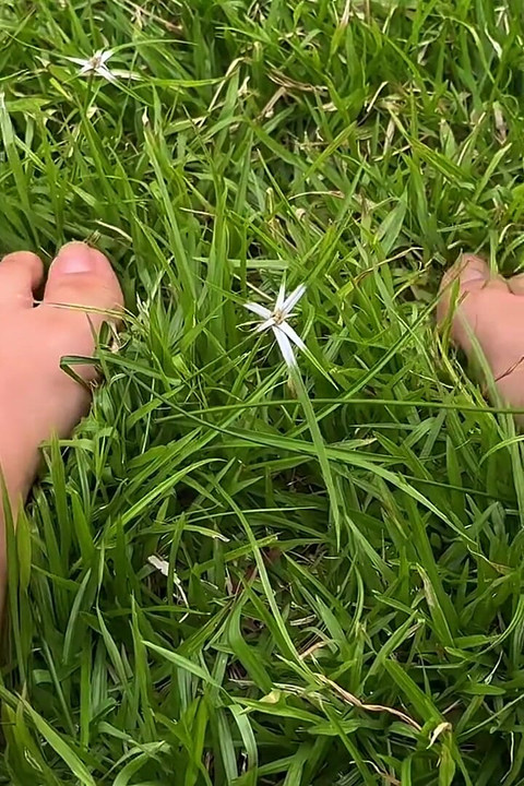 I Let You See My Feet Rubbing and Pressing Against the Grass