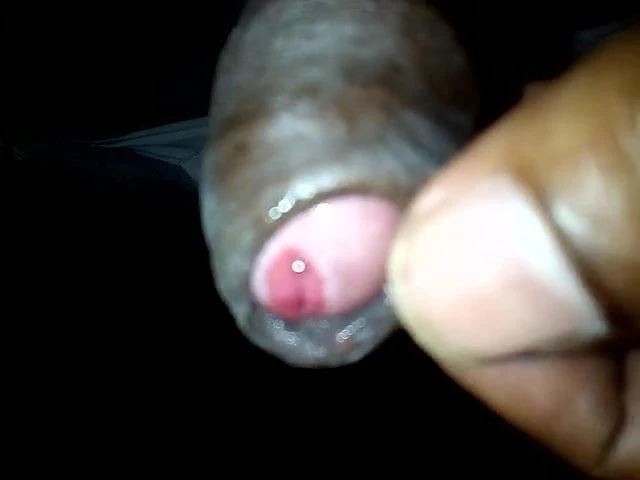 penis