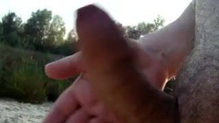 Slapping cock in nature