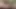 Azgın zenci adam onu sert sikmeden önce seksi Asyalı genç kızın amını yalıyor