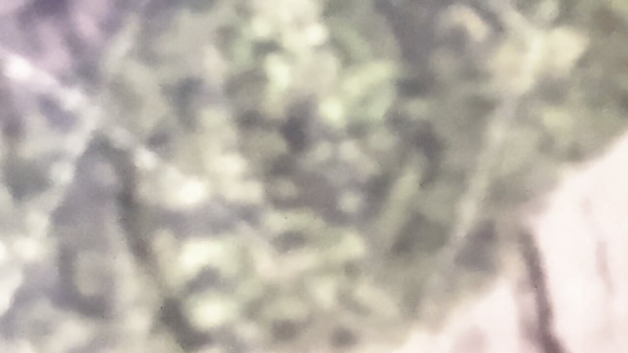 POV doggy style with horny Bbw amateur slut