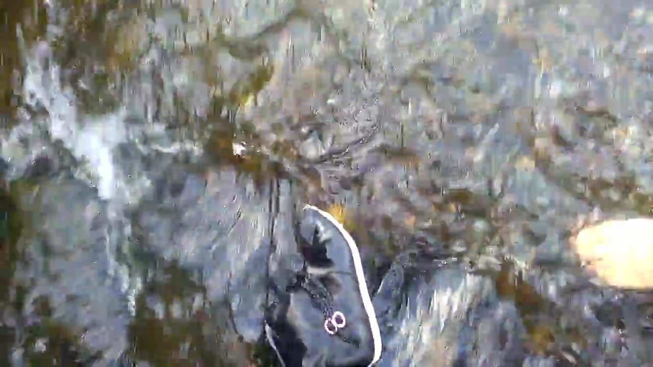 Wet jumex boots river 2