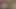 Şişeyi enerji içeceğiyle dolduruyorum
