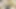 Debra Dandrea sitzt mit ihrem riesigen schönen arsch auf Sinthia bee