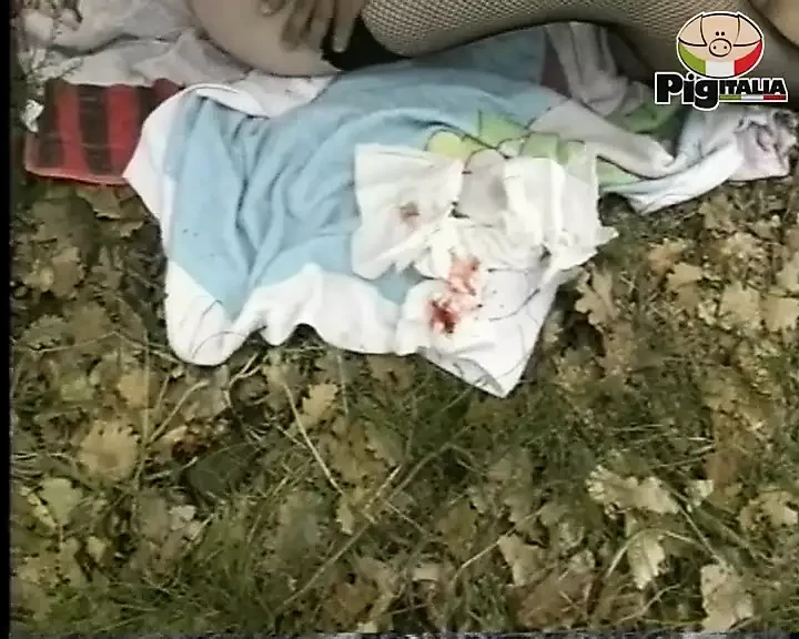 淫荡熟女，喜欢在湿漉漉的毛茸茸阴户中越轨，来自电影un'insaziabile voglia di cazzo的场景02