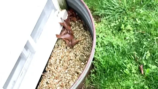 Kepergok masturbasi sama pacarnya