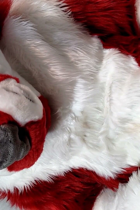 Furry in Full-body Fursuit Pisses on You, Then Cums Over Himself