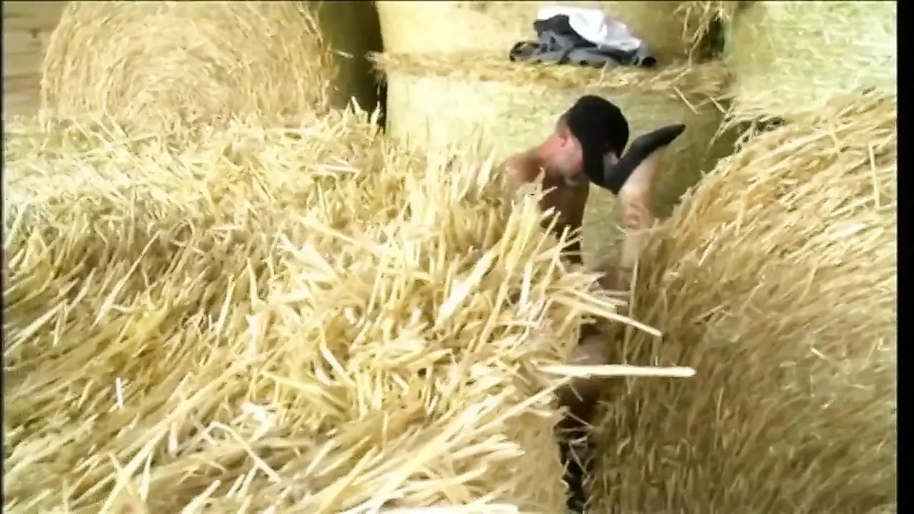 Farmer hits on a mature woman of the city