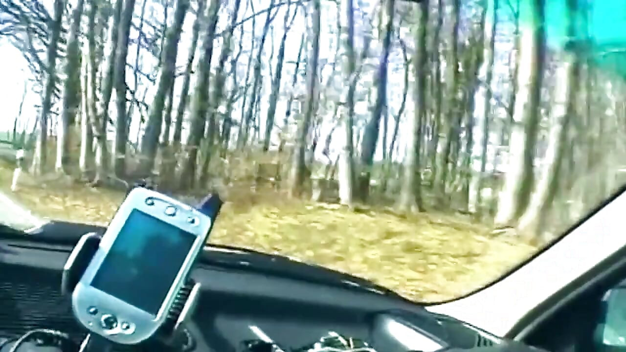 Blonde Sucks Cock and Shows Wet Pussy in Car
