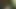 My dick is so cute please fuck me
