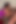 Young Student Latina Sucking Big Dick