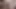 Joey King Cum Tribute 04