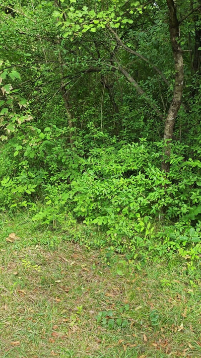 Exhibition | Clip 1