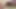 hot guy with beautiful big black ass fucks his sex toy
