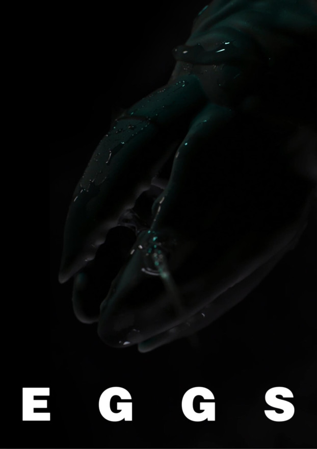 EGGS - teaser