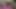Astolfo Takes a Pounding - Cosplay