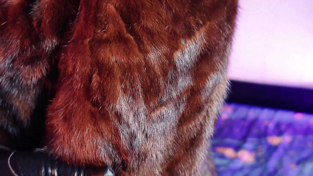 FUR FETISH video: beautiful Mistress tease and seduce. ASMR and JOI. Arya Grander.