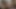 Tiny Tyler Masturbate with Dildo and Orgasm