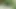 jerking off a dick in green panties