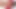 Dude enjoys pleasing shemale Juliana Nogueira shedick a