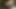 美女の濡れた穴が大きく開き、壮大なペニスを突きつける