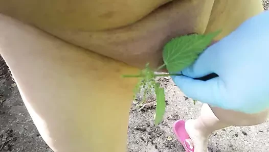 benim horoz ısırgan