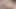 Skinny tiny cum slut with an anal plug let herself be fucked and cum inside her tight shaved pussy