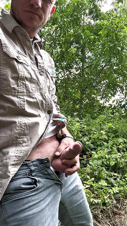 Stop in the woods